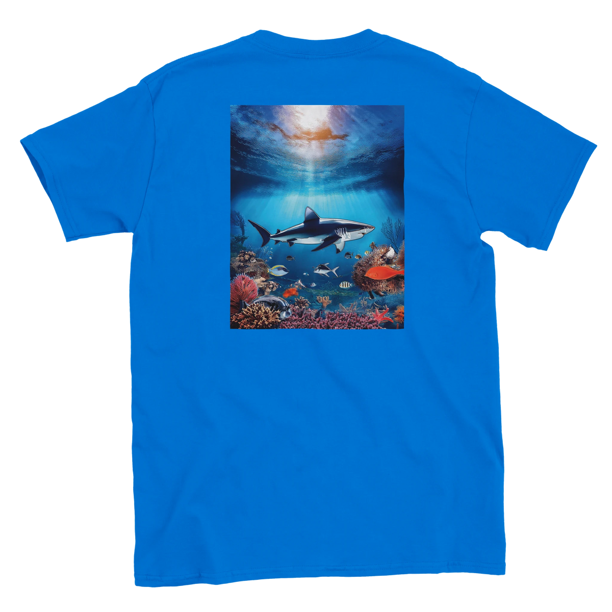 0428648a-1892-46d9-931d-26bd9e1ee81f