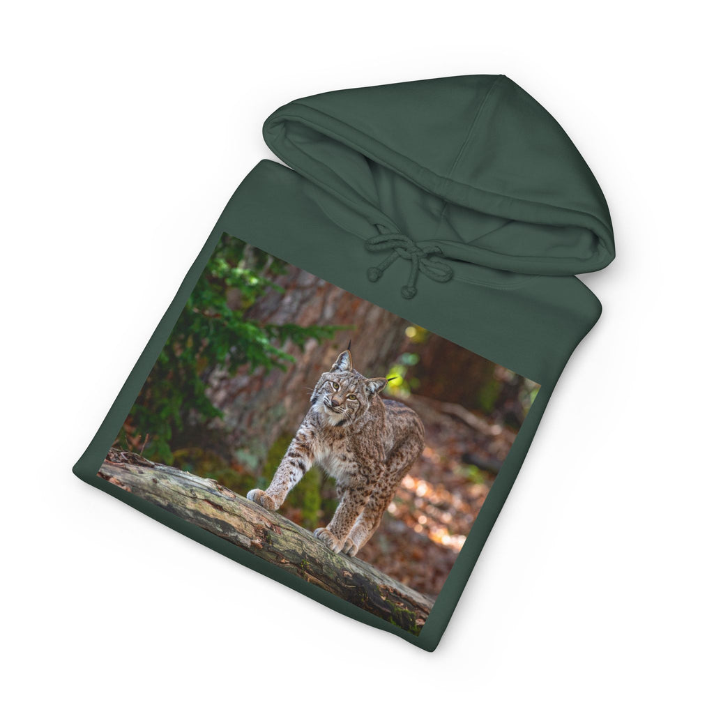Bobcat Photo Hoodie - Wildlife Nature Graphic Sweatshirt for Animal Lovers