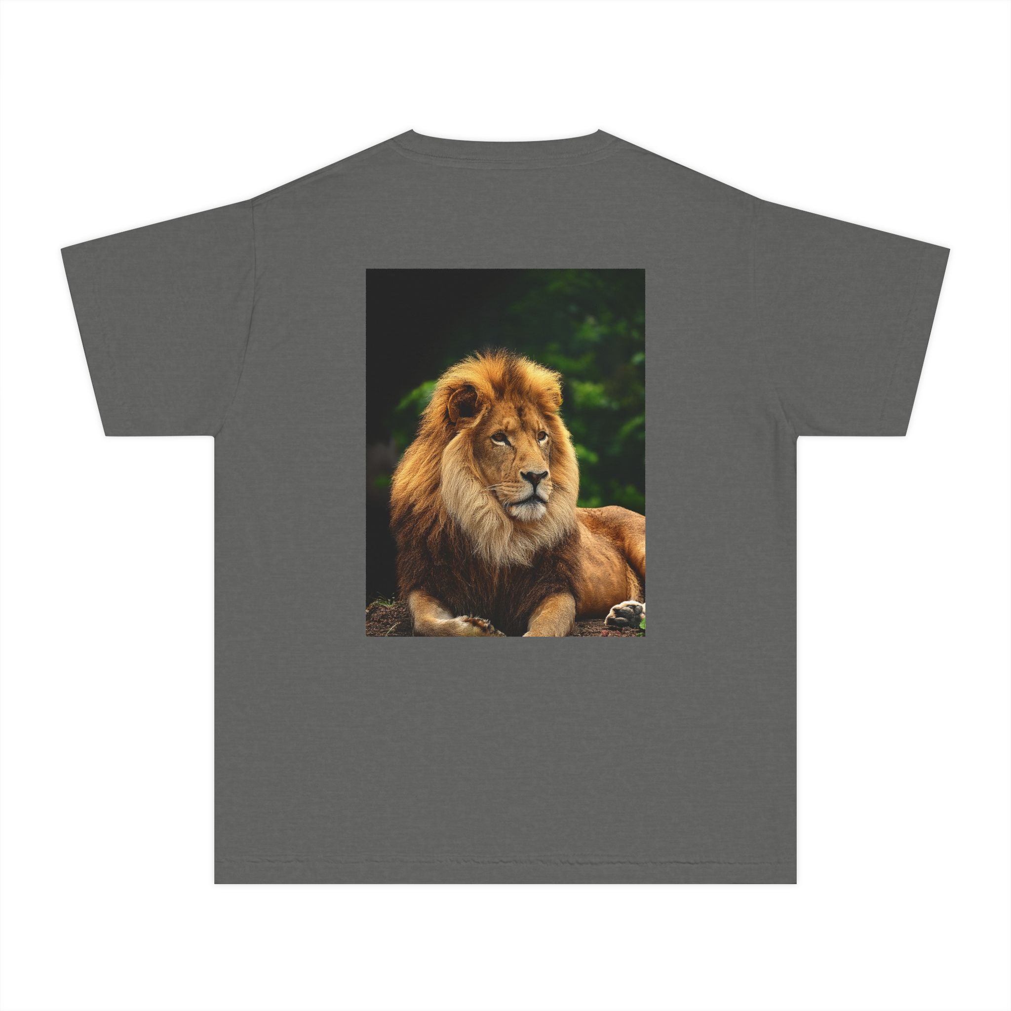 Lion Youth Midweight Tee