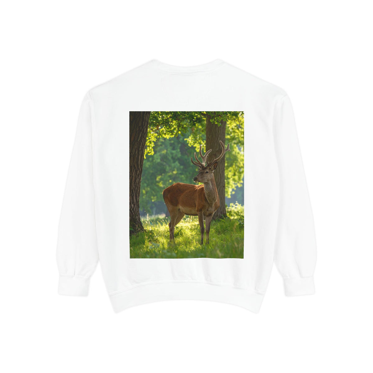 Deer in Sunlit Forest Sweatshirt