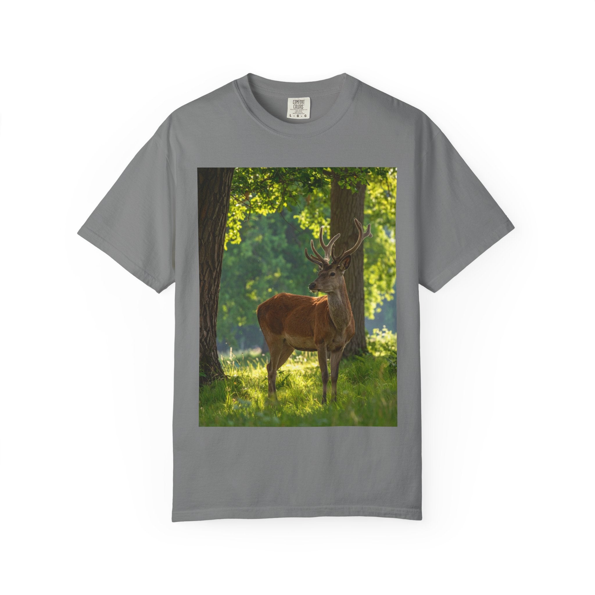 Deer In Sunlight T-Shirt — Majestic Buck Wildlife Graphic Tee