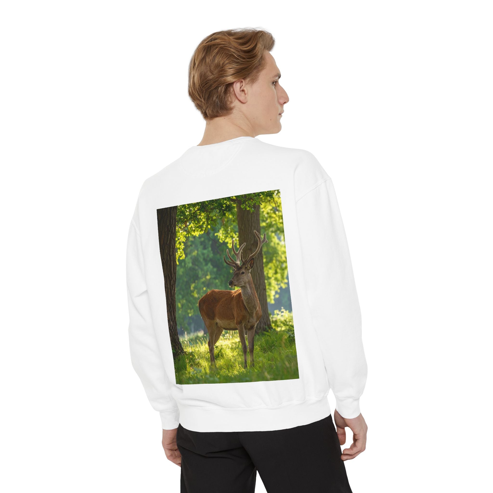 Deer in Sunlit Forest Sweatshirt