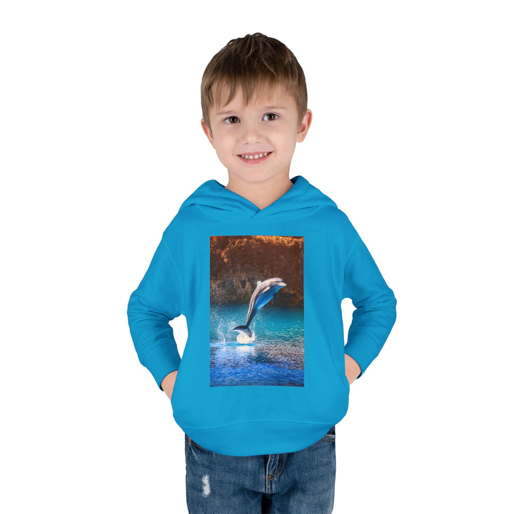 Dolphin Toddler Pullover Fleece Hoodie