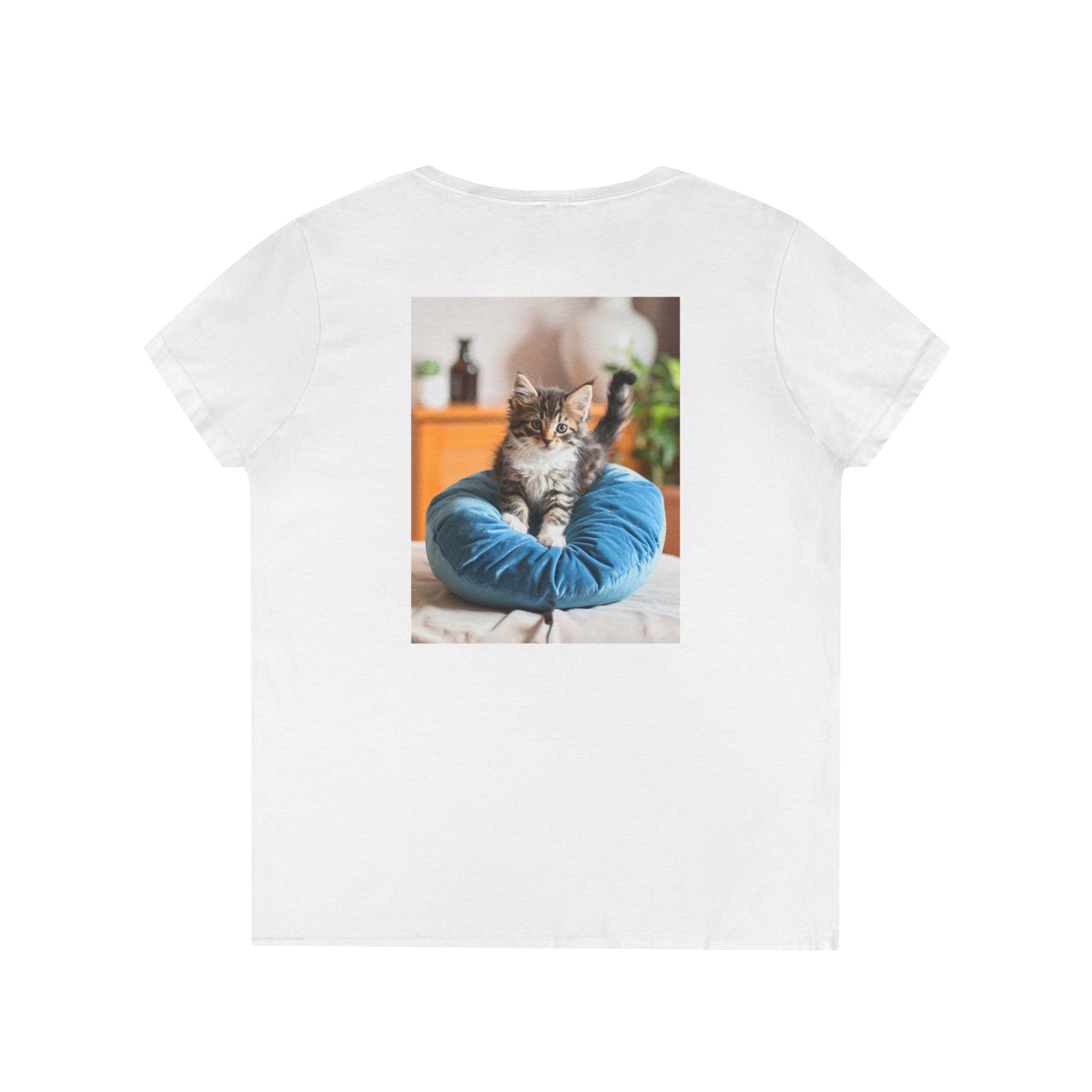 Ladies' V-Neck T-Shirt