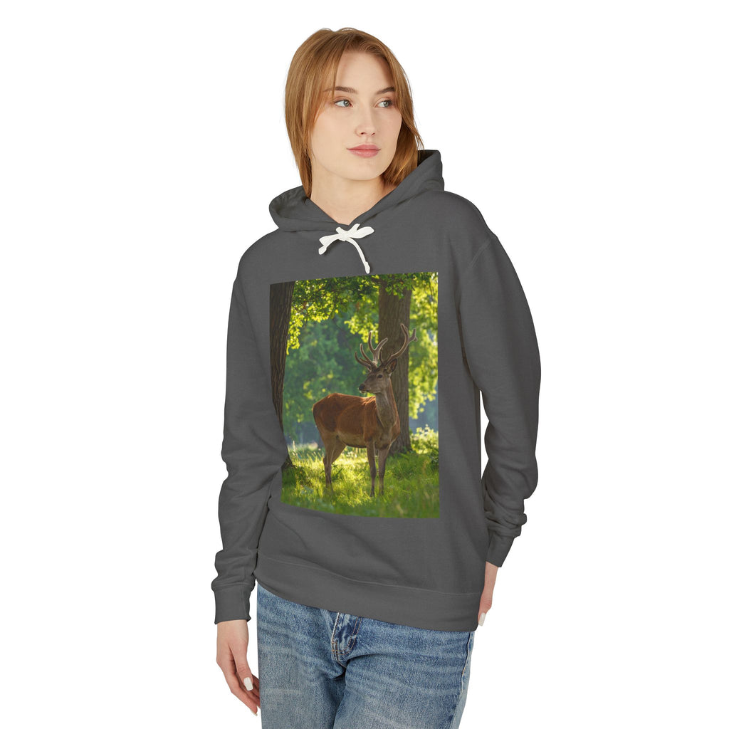 Deer in Sunlit Forest Hoodie — Nature Wildlife Photo Sweatshirt