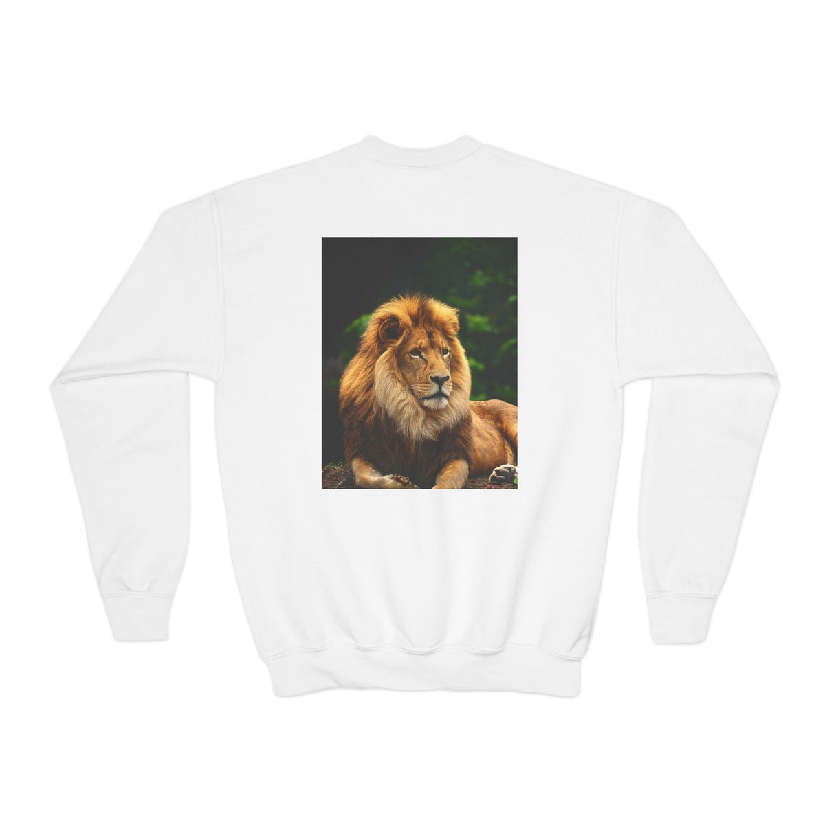 Lion Youth Crewneck Sweatshirt