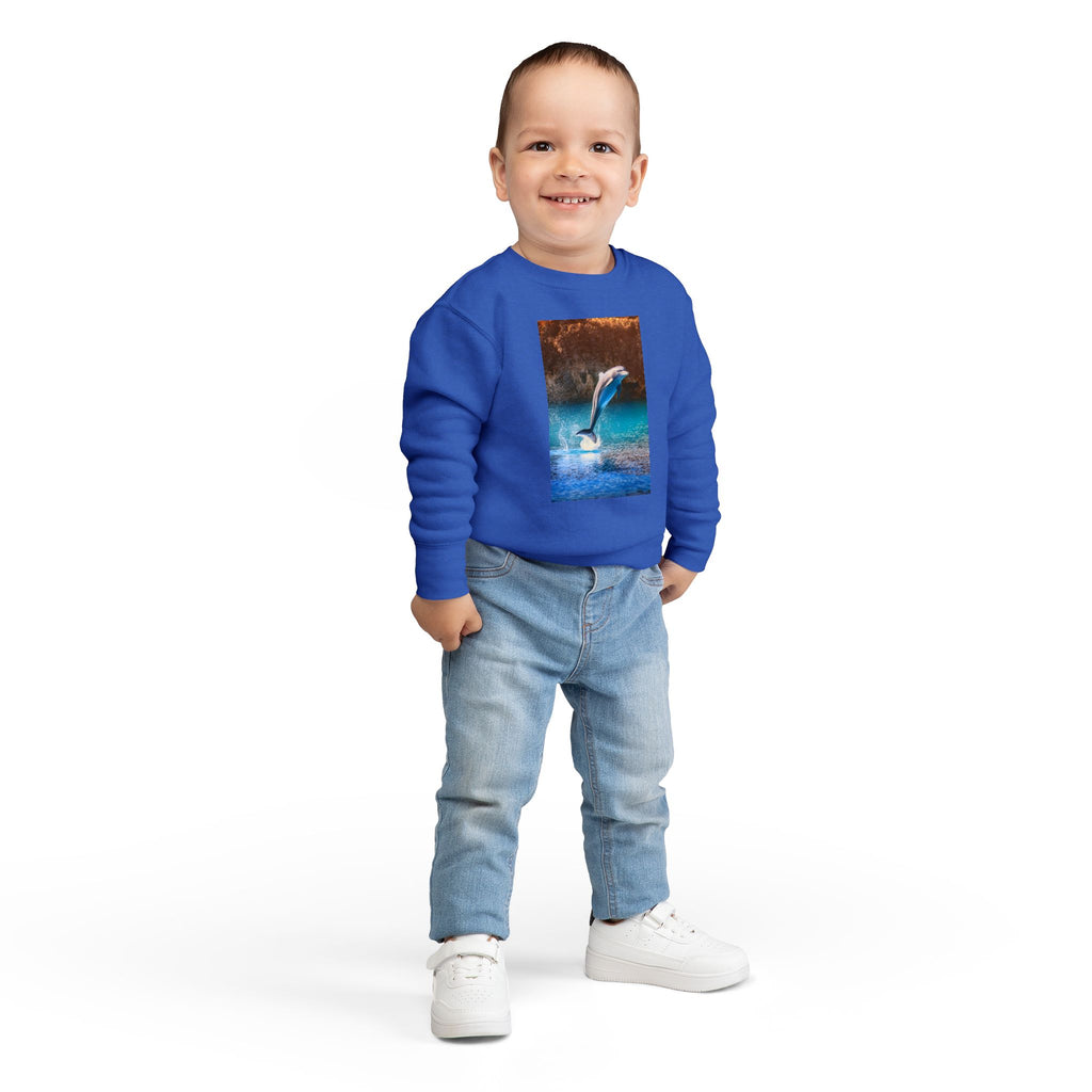 Dolphin Toddler Sweatshirt