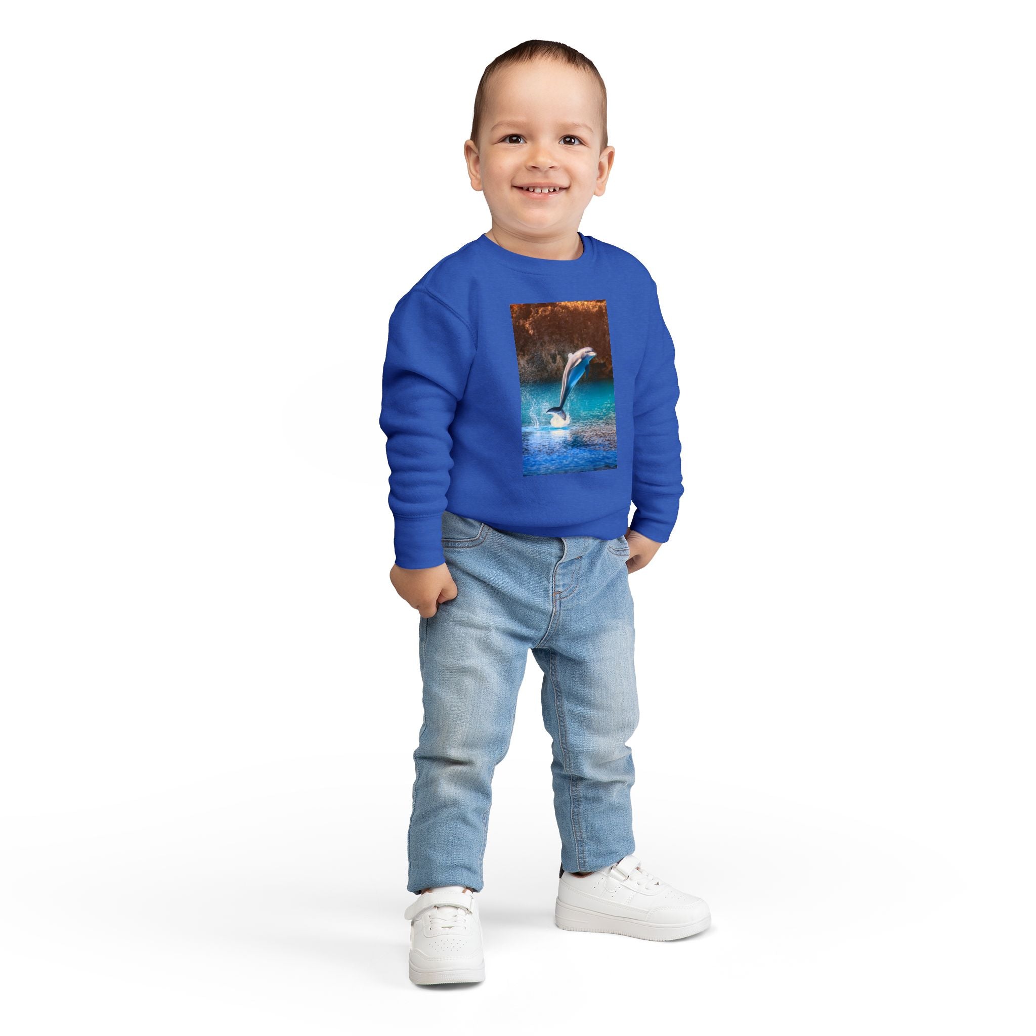 Dolphin Toddler Sweatshirt