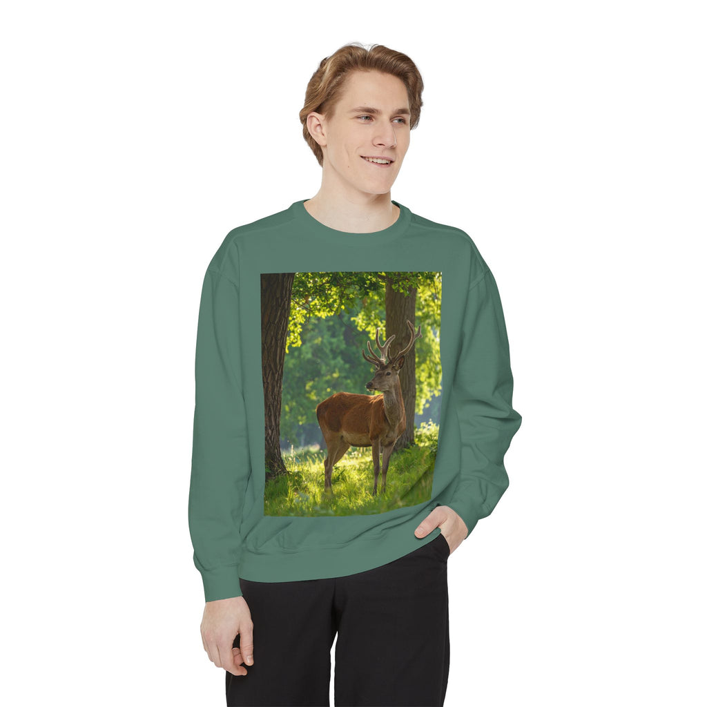 Deer in Sunlit Forest Sweatshirt