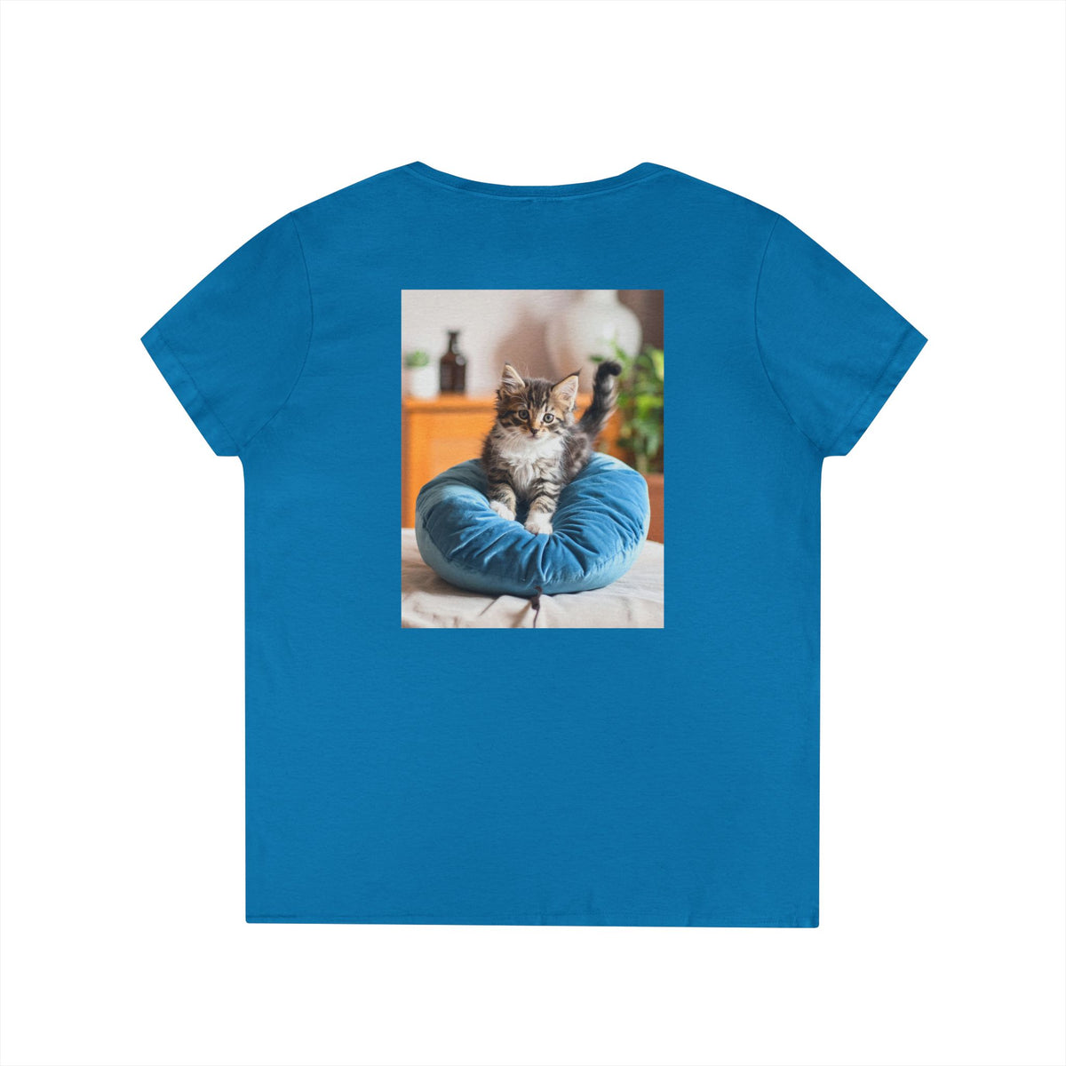 Ladies' V-Neck T-Shirt