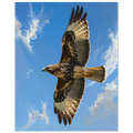 2dc6ea9d-04a3-4941-8ec3-6b42ae429908