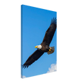 2df6f503-d621-428a-8ce7-57ec46e8a09c