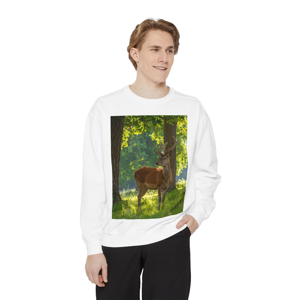 Deer in Sunlit Forest Sweatshirt