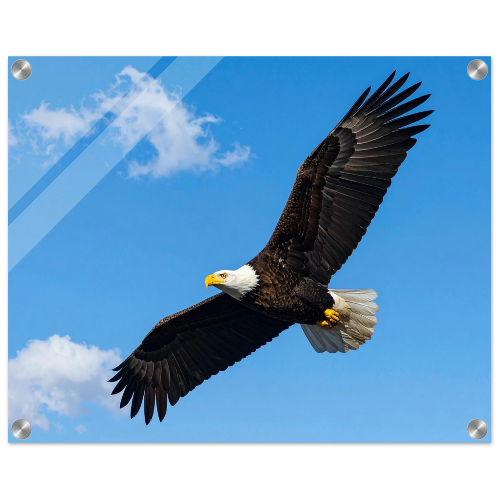 3eead2e3-6620-4876-843c-4497edbeb2ef
