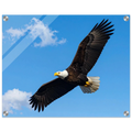 3eead2e3-6620-4876-843c-4497edbeb2ef