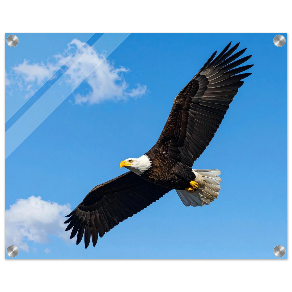 3eead2e3-6620-4876-843c-4497edbeb2ef