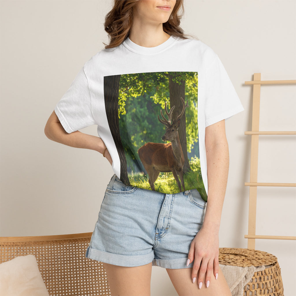 Deer In Sunlight T-Shirt — Majestic Buck Wildlife Graphic Tee
