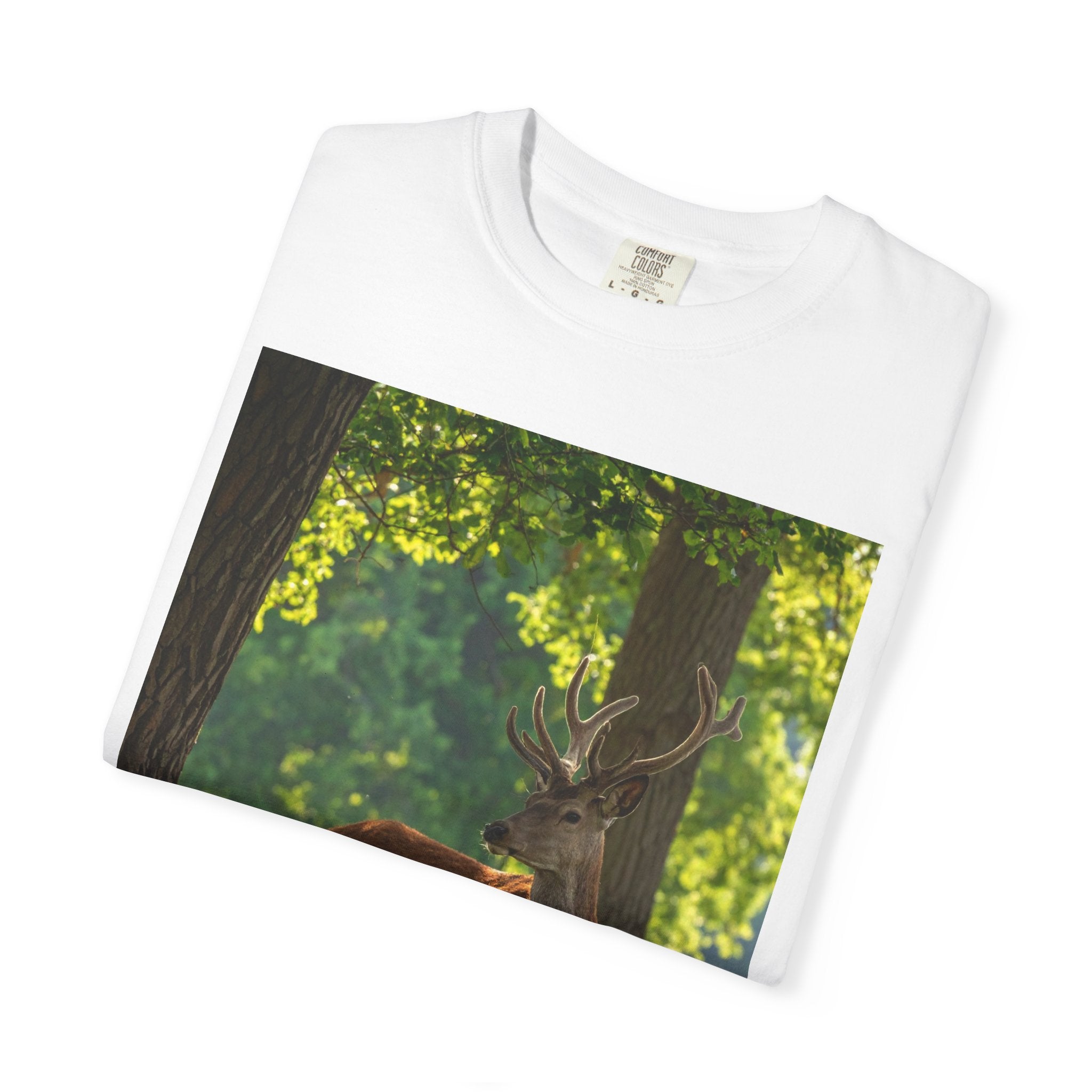 Deer In Sunlight T-Shirt — Majestic Buck Wildlife Graphic Tee