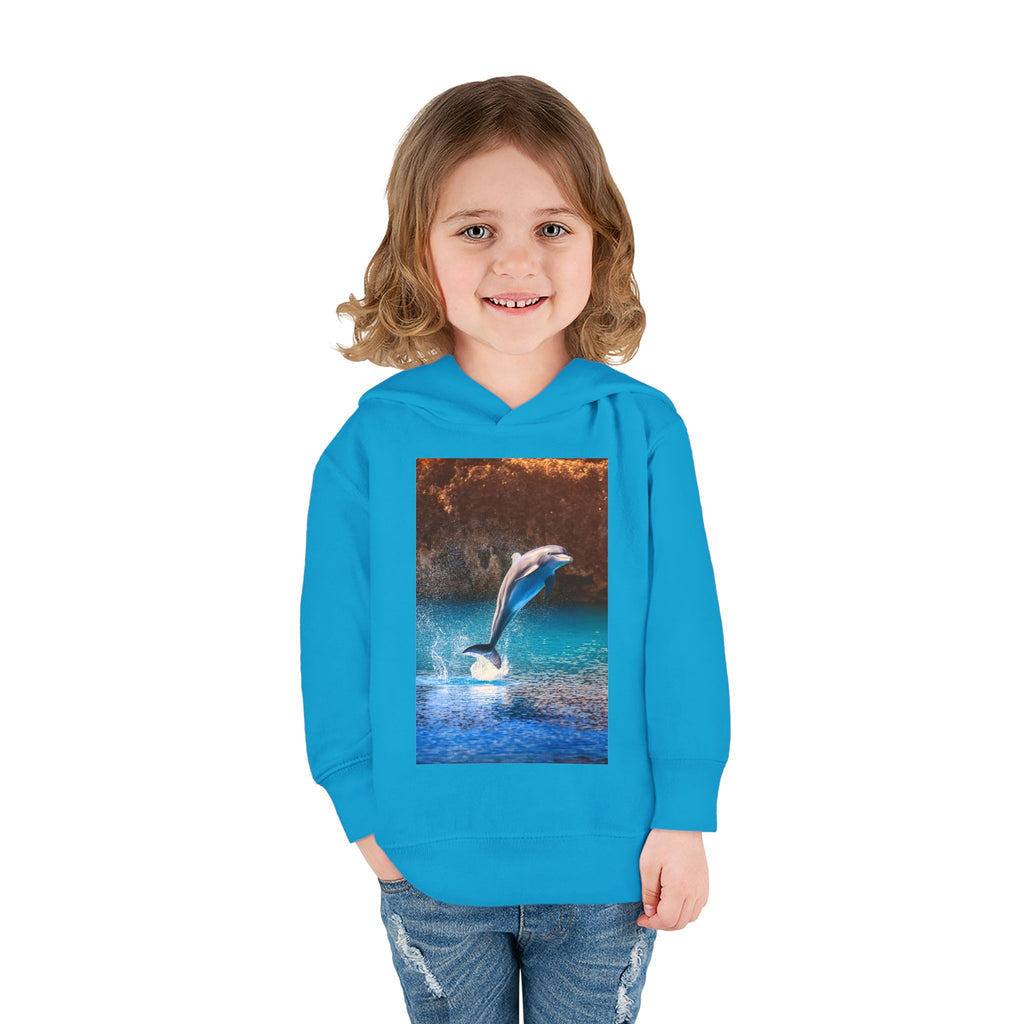 Dolphin Toddler Pullover Fleece Hoodie