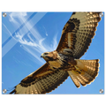 49550fa6-bdf1-4bcc-91d4-98bf5a8706c6