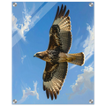 50113fae-886a-42ce-abd6-229ebb13b7e3