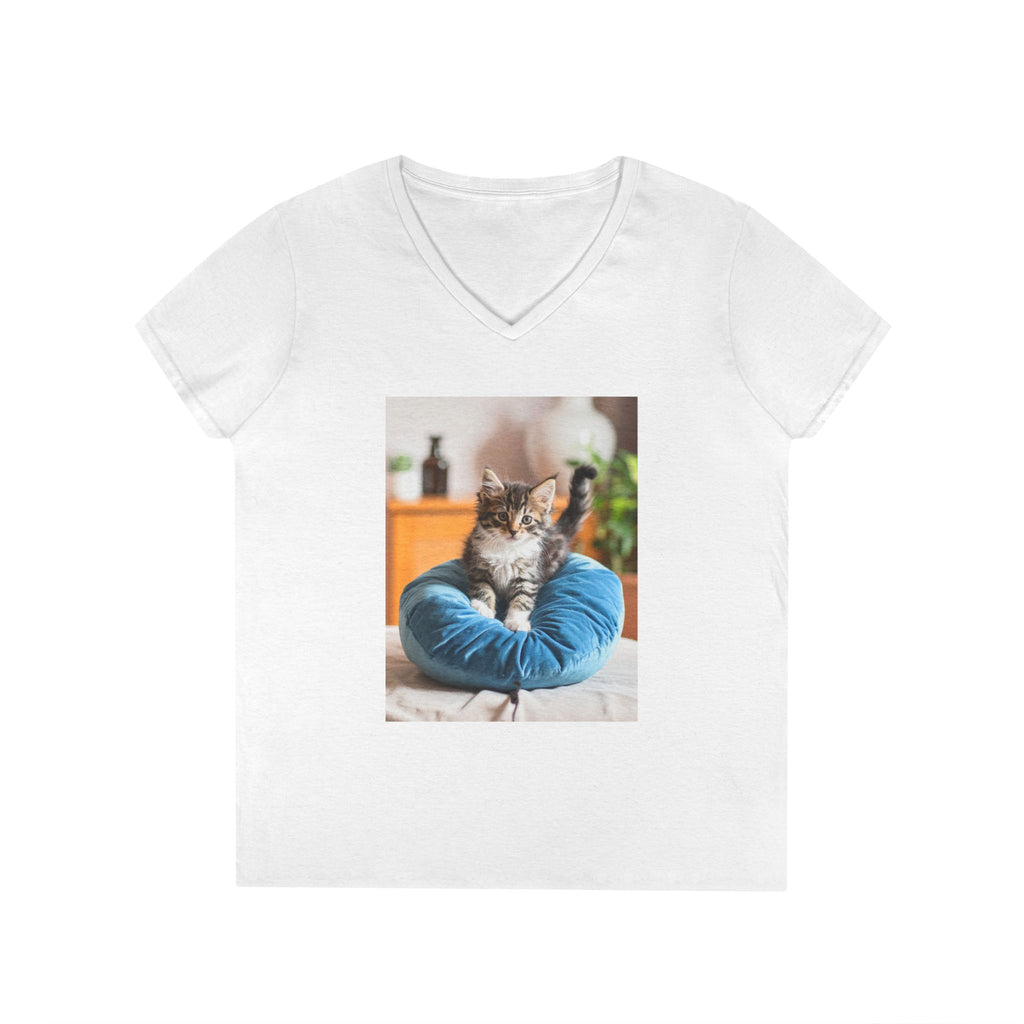 Ladies' V-Neck T-Shirt