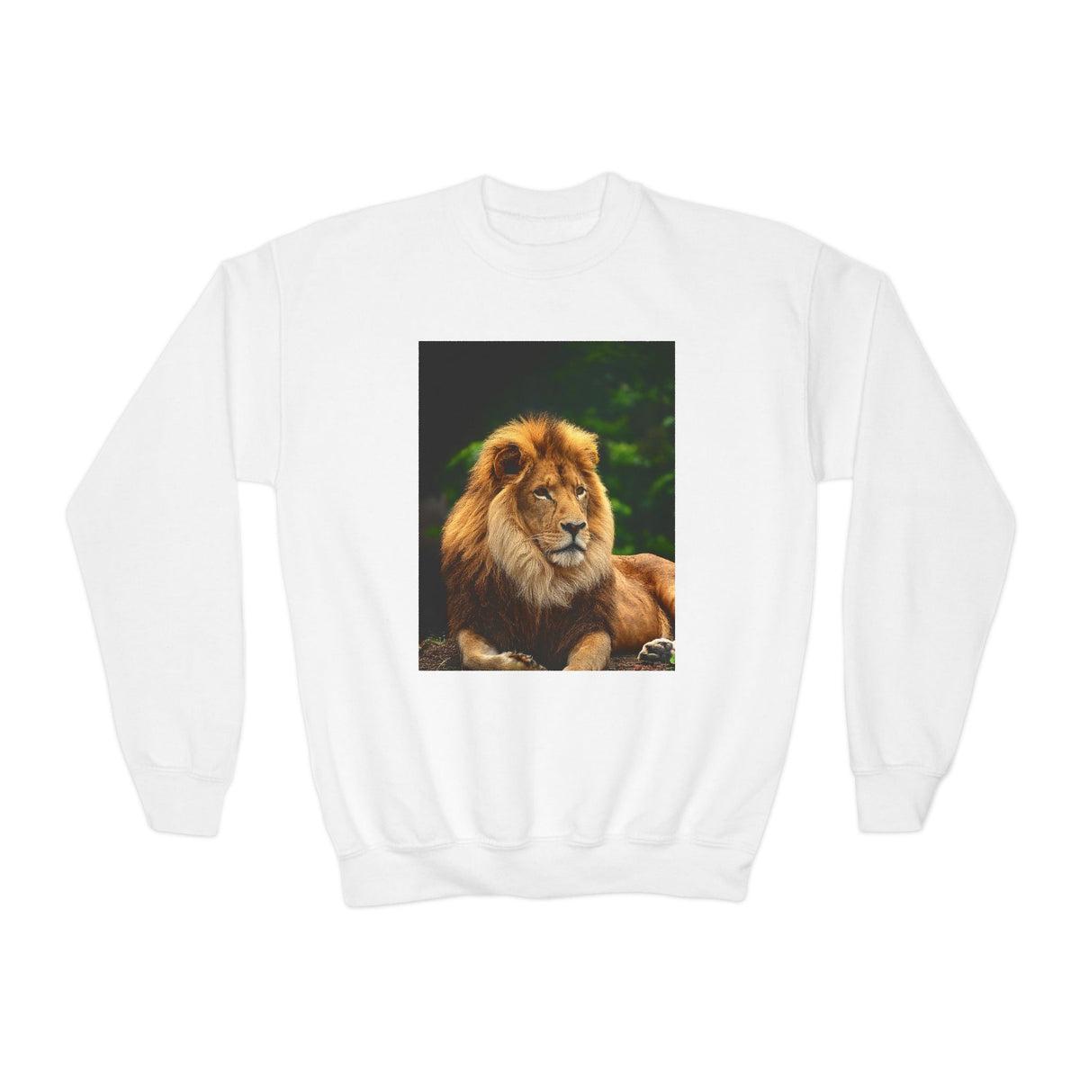 Lion Youth Crewneck Sweatshirt