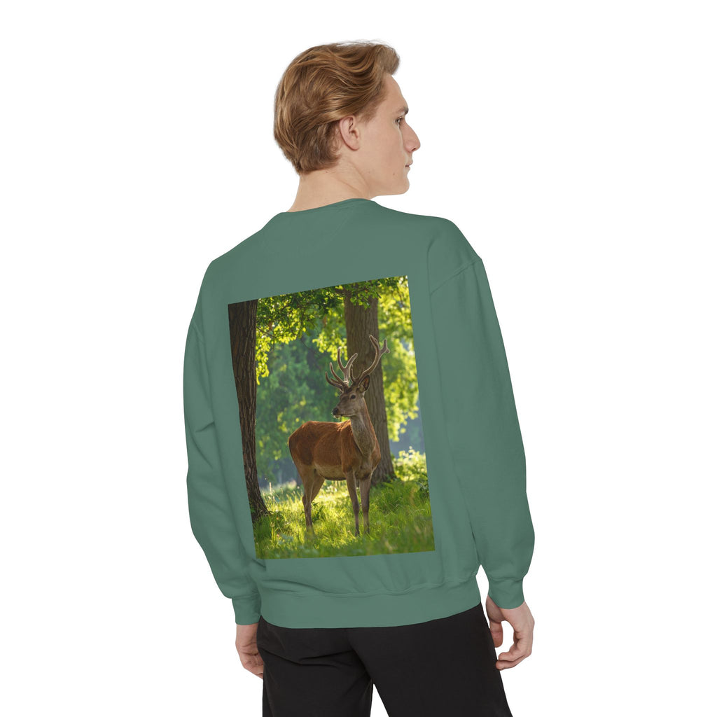 Deer in Sunlit Forest Sweatshirt