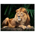 54d8a5a6-ec3b-4589-b8f0-d8ad3ecc537b