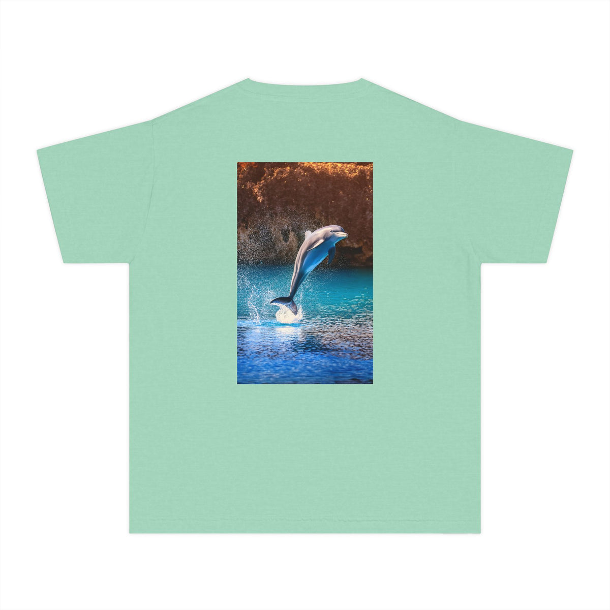 Dolphin Youth Midweight Tee