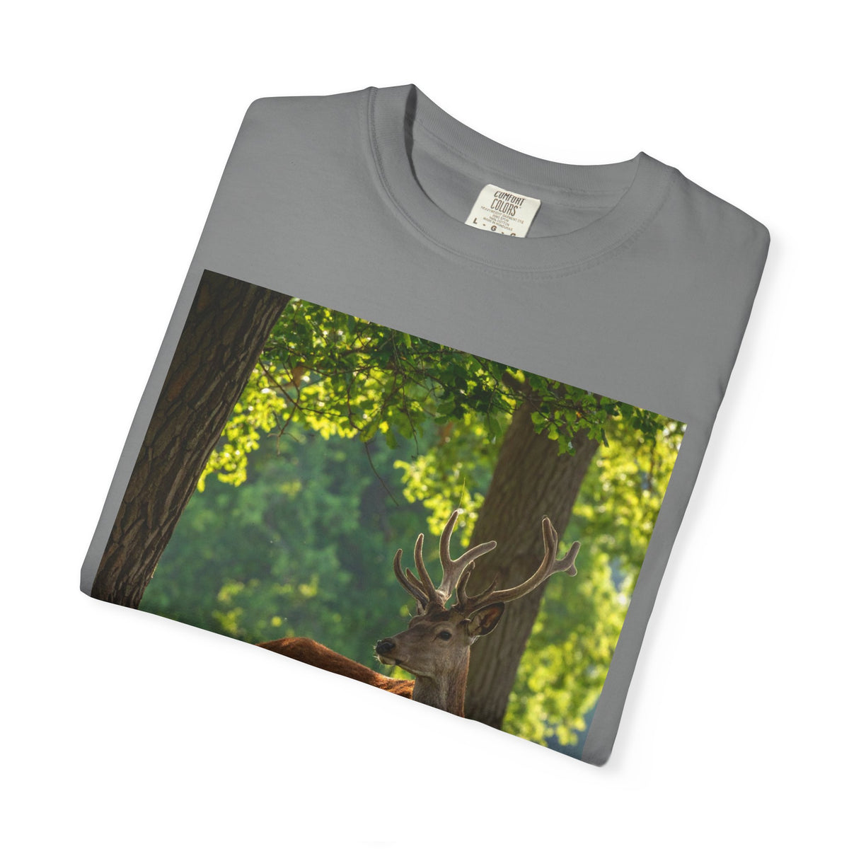 Deer In Sunlight T-Shirt — Majestic Buck Wildlife Graphic Tee