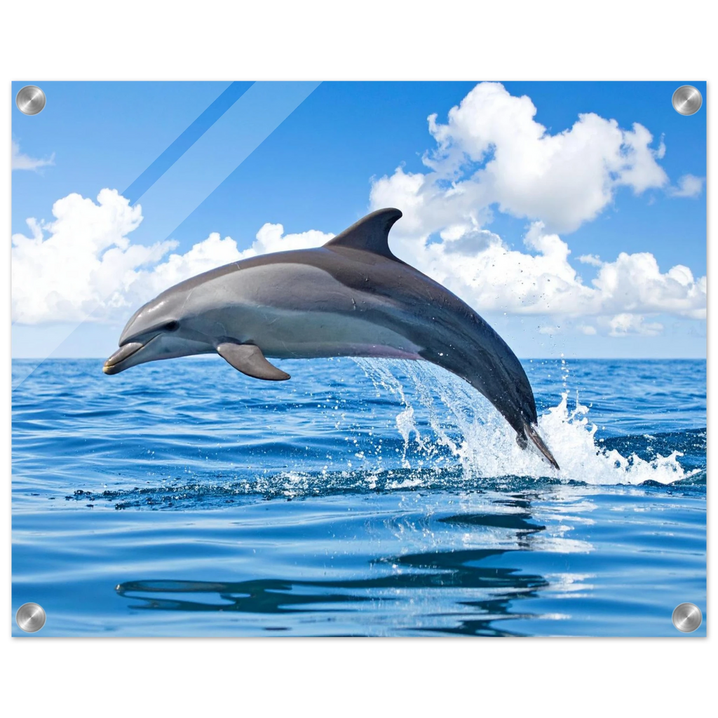 5e42abc0-c527-47e5-9199-de0c0b3f27ac