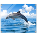 5e42abc0-c527-47e5-9199-de0c0b3f27ac