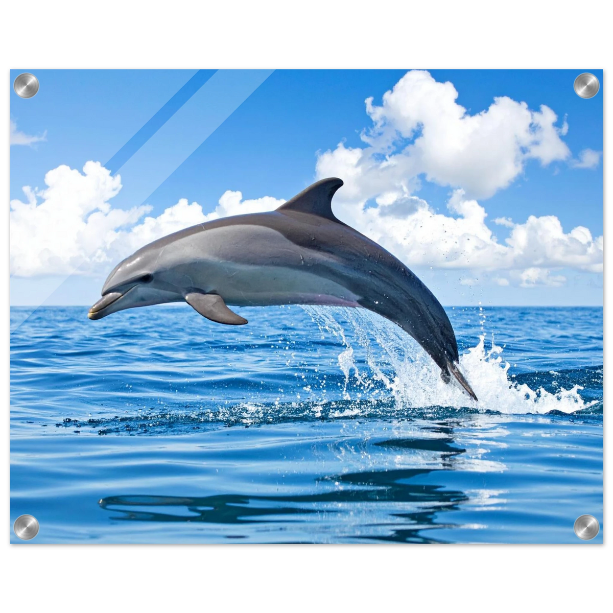 5e42abc0-c527-47e5-9199-de0c0b3f27ac