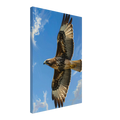69392af7-46d0-4b64-83ca-6b54d332e197