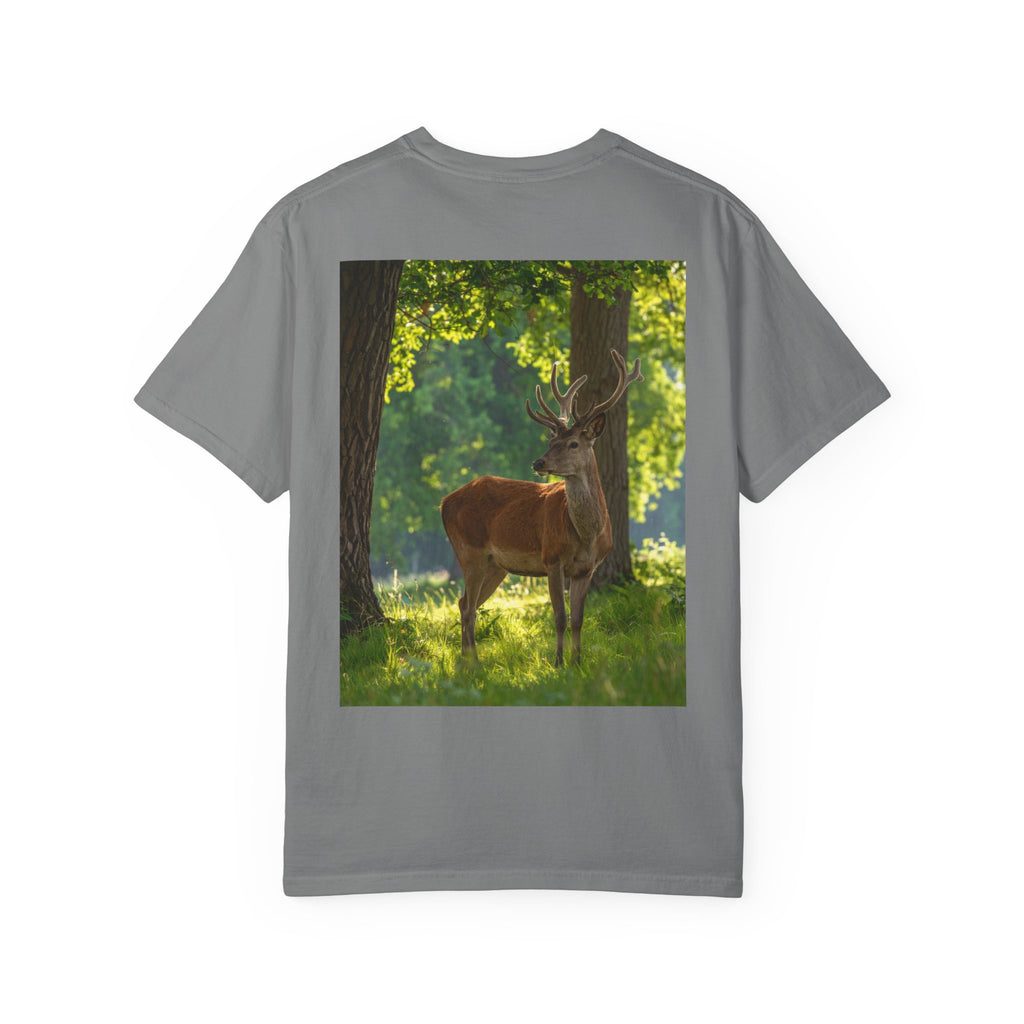 Deer In Sunlight T-Shirt — Majestic Buck Wildlife Graphic Tee