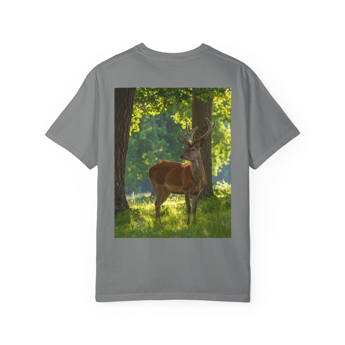 Deer In Sunlight T-Shirt — Majestic Buck Wildlife Graphic Tee