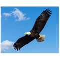 7d8b61eb-35cb-4afd-8b20-cbccfb0a7abc