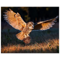7ede1460-6975-4e3d-91cc-d6229c7b0438