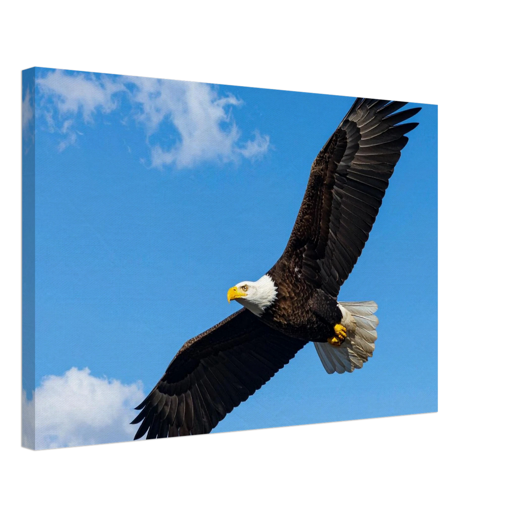 81fd0a04-b666-4042-a3ef-9f4b21690b80