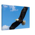 81fd0a04-b666-4042-a3ef-9f4b21690b80