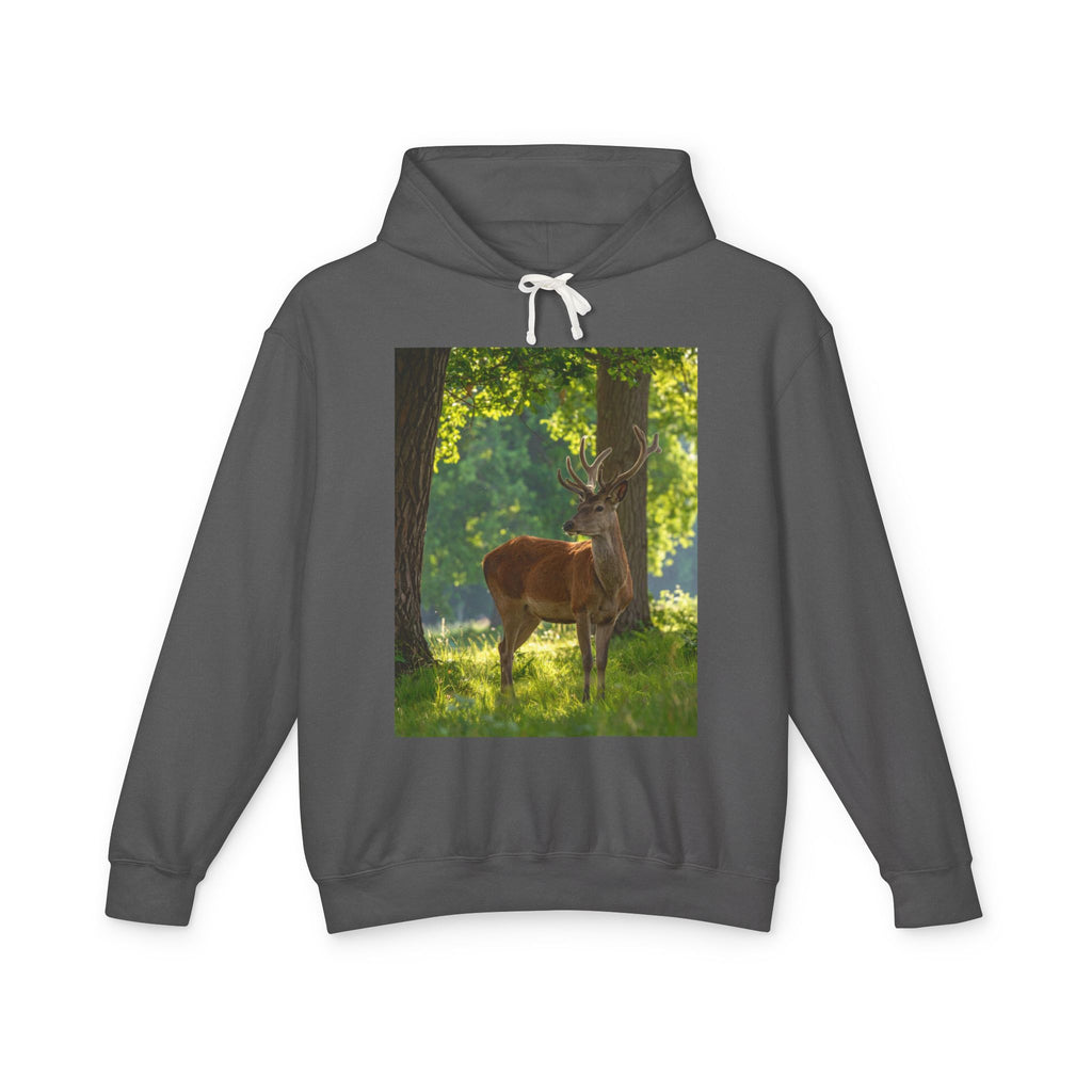 Deer in Sunlit Forest Hoodie — Nature Wildlife Photo Sweatshirt