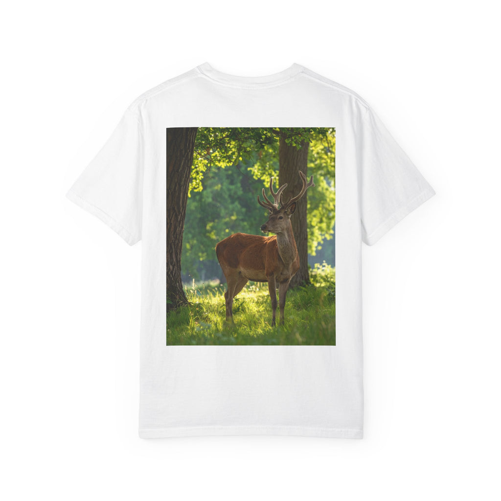 Deer In Sunlight T-Shirt — Majestic Buck Wildlife Graphic Tee