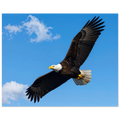 b3eaae32-d06b-4869-a17c-705fbcccb5c4