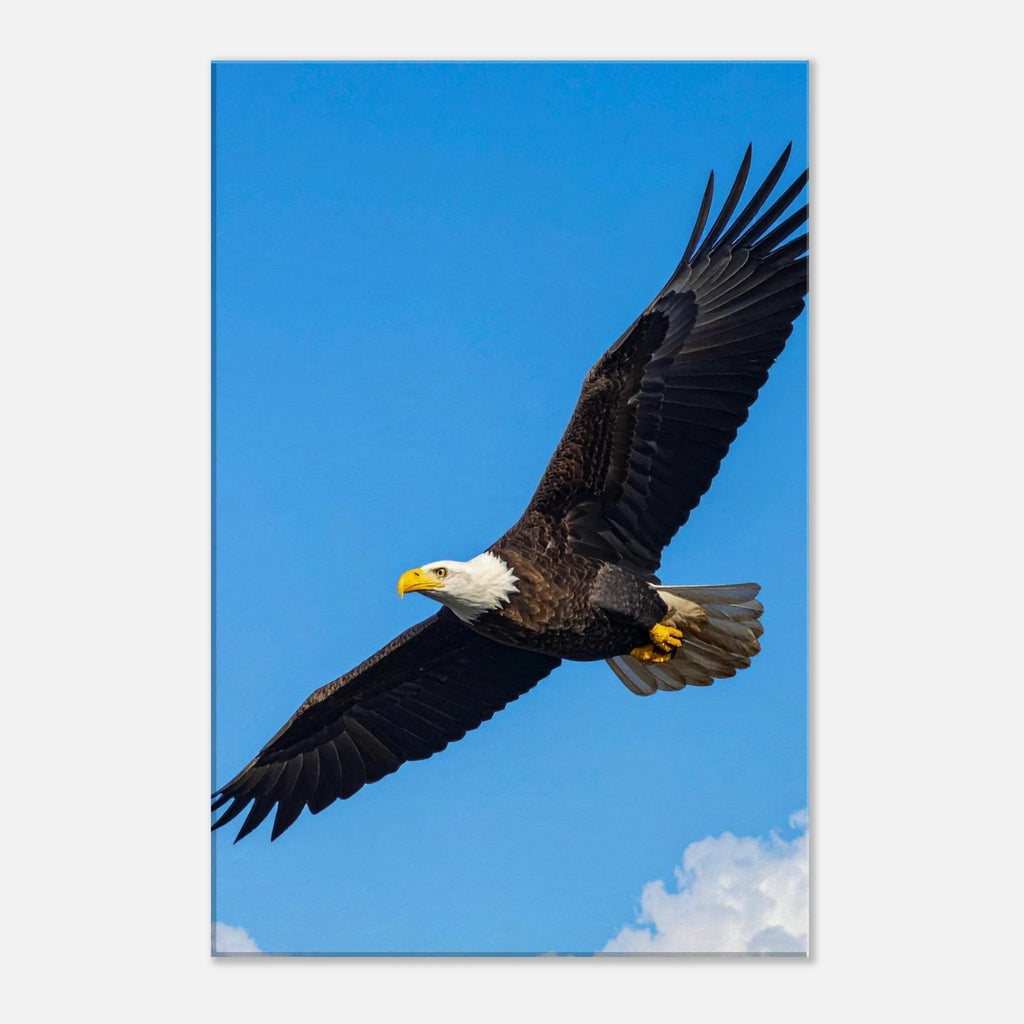 d52ec01f-c464-49b9-86c5-6c573ab954f6