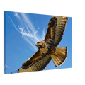 ed82ff0f-b5a3-4fe4-b7e1-9d44e1e4e50a