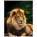 fb2095f2-3bfa-4cb9-a079-5f7b69a45a03